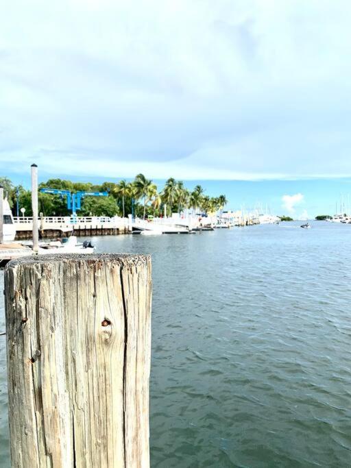 Groveo5 10 Minutes From Appartamento Miami